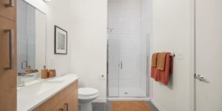 Modera Newton Gallery 30