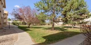 Students Welcome! Updated 2 Bedroom 1 Bath near Foothills Mall Gallery 18