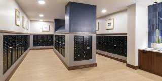 Juniper Square - 55+ Active Adult Apartment Homes Gallery 22