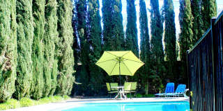 Camino Woods Gallery 2