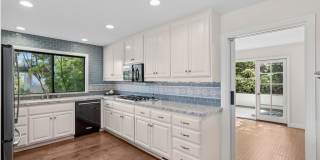 1980 San Remo Gallery 20