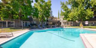 The Harlow Gallery 13