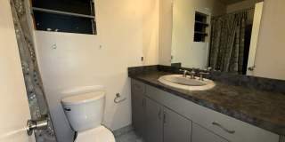 31846 Regal Dr Gallery 12