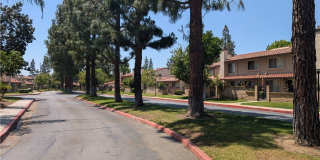 9764 Louise Drive 9764 Louise Drive Gallery 25