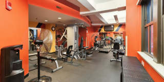 1500-00 CHESTNUT Street Gallery 22