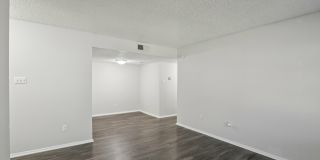 Briar Cove Gallery 3