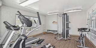 Arcadia 30 Gallery 16