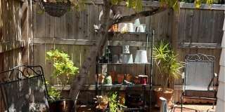 1262 Catalina Gallery 31