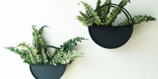 Abendroth Gallery 46