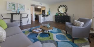 Cameron Cove Gallery 2