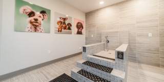 Meridian at Rogers Branch Gallery 27