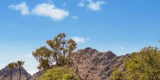 2601 E DAHLIA Drive Gallery 32