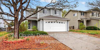 9611 Elk Mountain Cir Gallery 1