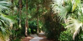 Longwood (The Springs) - 2 Bedroom, 1 Bathroom - $1,795.00 Gallery 28