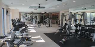 Mezzo Kirby Med Center Gallery 20