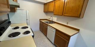 Brighton North Gallery 9