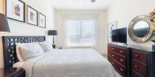 Domain at Kirby Gallery 12