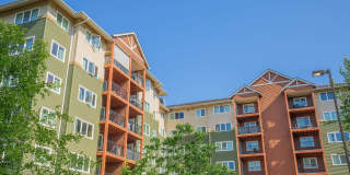 Urban Center Apartments Gallery 49