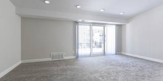 Radnor Crossing Gallery 22