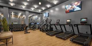 1975 Madison Avenue Gallery 8