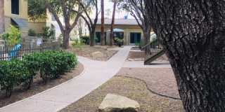 Quail Creek Gallery 19