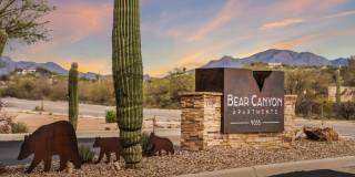 Bear Canyon Gallery 25