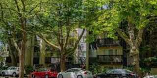 Tamarac Apartments Gallery 1