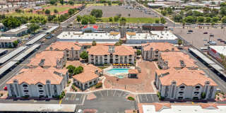 Twin Palms Gallery 33