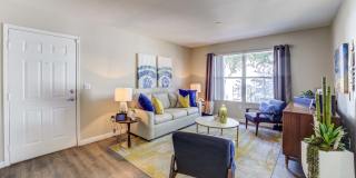 Ascent at Silverado Gallery 1