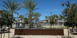 Pacific Landing Gallery 2