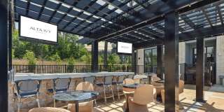 Alta Ivy Gallery 57