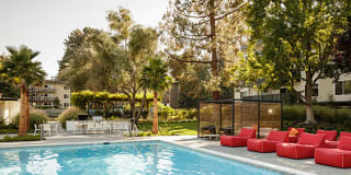 Spruce Apartments Gallery 12