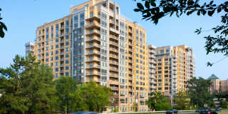 Harrison at Reston Town Center Gallery 4