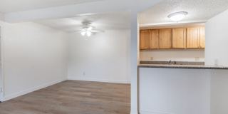 Prospera Village Gallery 5