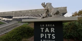 Avalon West Hollywood Gallery 40