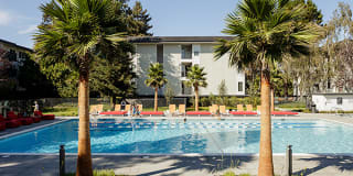 Spruce Apartments Gallery 19