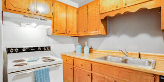 Paddock Place Gallery 10