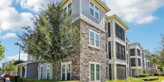 The Lotus at Starkey Ranch Gallery 45