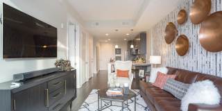 The Morris Gallery 15