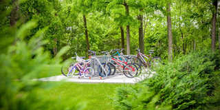 Mill Pond  Apartments Gallery 39