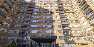 Belmont Heights Gallery 1