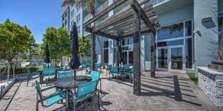 Navette on the Bay Gallery 17