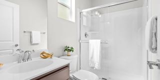 230 Steven Bridges Gallery 29