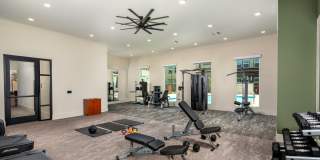 Jefferson Avena Gallery 15