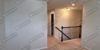 8151 Quincy Dr Gallery 13