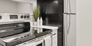 Proximity Apartment Homes Gallery 5