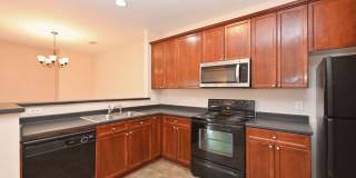**PRISTINE GARDEN-LEVEL CONDO ON THE FIRST LEVEL NEAR PAVILION AND COMMUNITY GREEN SPACE** Gallery 14