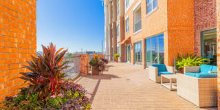 Domain at Kirby Gallery 67