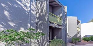 Saguaro Villas Gallery 15