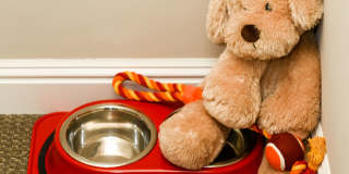 Encore Townhomes II Gallery 21